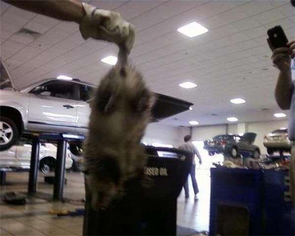 开不到5千公里的奥迪车出现异音,开回原厂维修时令人哭笑不得