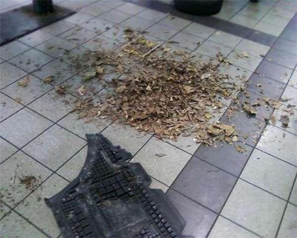 开不到5千公里的奥迪车出现异音,开回原厂维修时令人哭笑不得