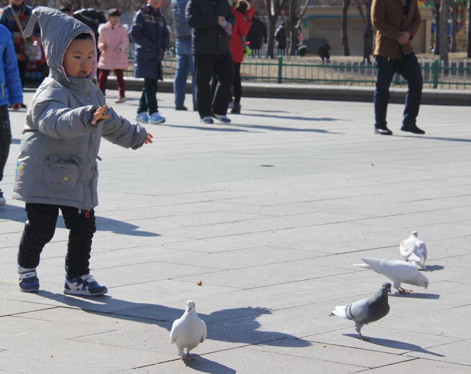 三月阳光明媚微风不燥,三月春暖花开阳光正好微风不燥