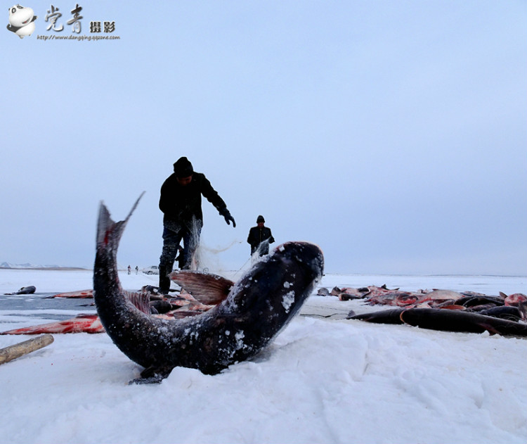 一个人眼中的成都,一个成都人眼中的四川