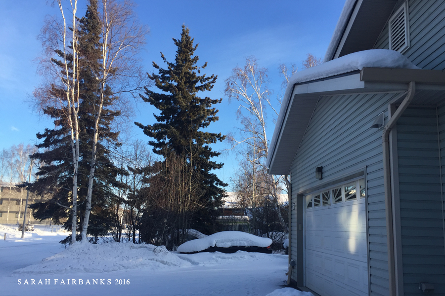 为了这束光，我们一路向北追逐而至...