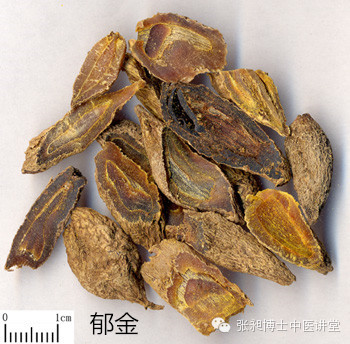 五指毛桃和土茯苓郁金可治肝炎吗,请问一下药物性肝炎用郁金粉好吗