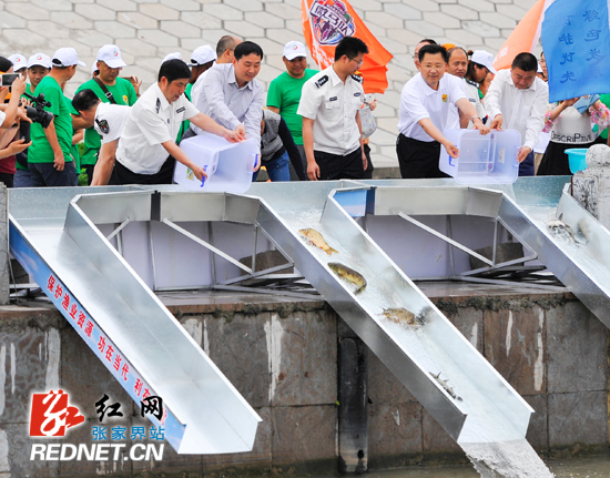 来了新闻早班车每日语音版,来了新闻早班车官网