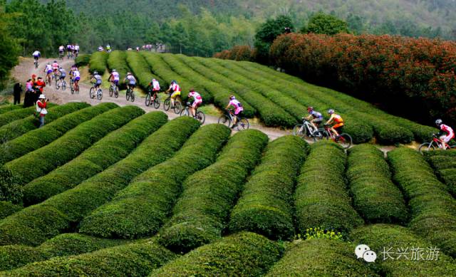 长兴一不小心,湖州长兴成了“中国最美休闲胜地”!