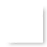 关于绿豆芽萌发的资料,观察绿豆芽发芽过程日记400字