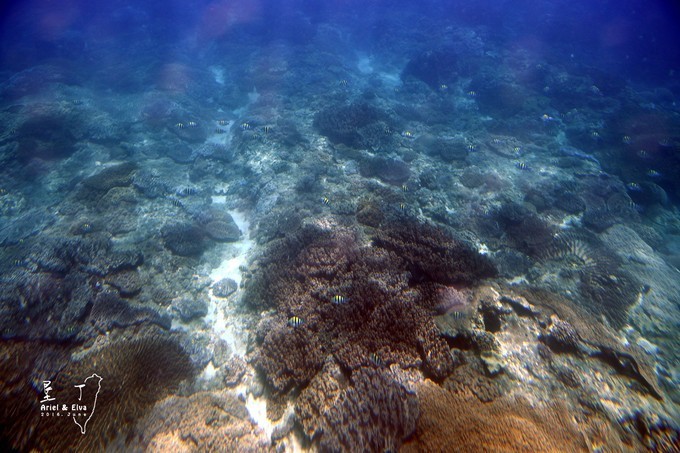 2017台北高雄垦丁花莲之旅,台北花莲垦丁自由行攻略