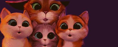 城南商场在建,城南本来要开发的商场