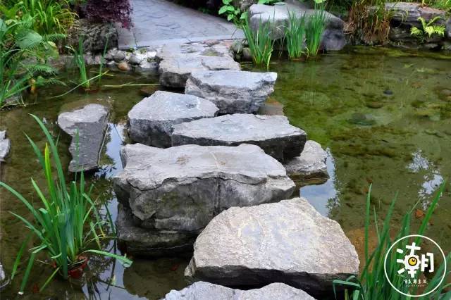 重庆桂花园景点,重庆桂花公园免费