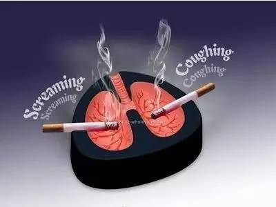 吸烟和肺结核有关系吗,吸烟的人会得结核吗