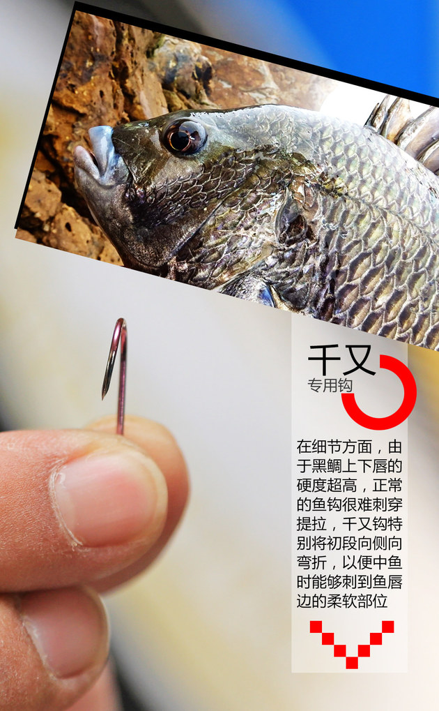 达人映像矶钓发烧友带你体验黑鲷天堂