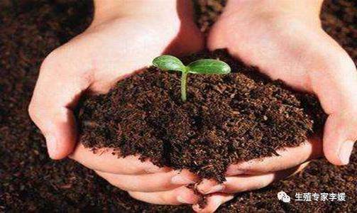 薄型子宫内膜是什么意思,薄型子宫内膜怎么调理