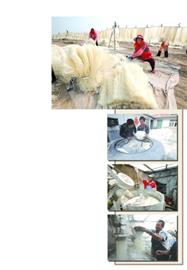 青岛农民收入,青岛农民种地一年的收入