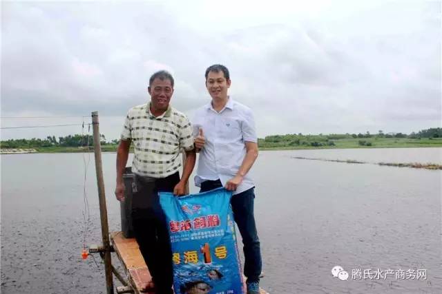 低成本养殖罗非,罗非养殖放养密度