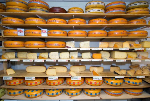 荷兰世界杯无冕之王,荷兰无冕之王的由来