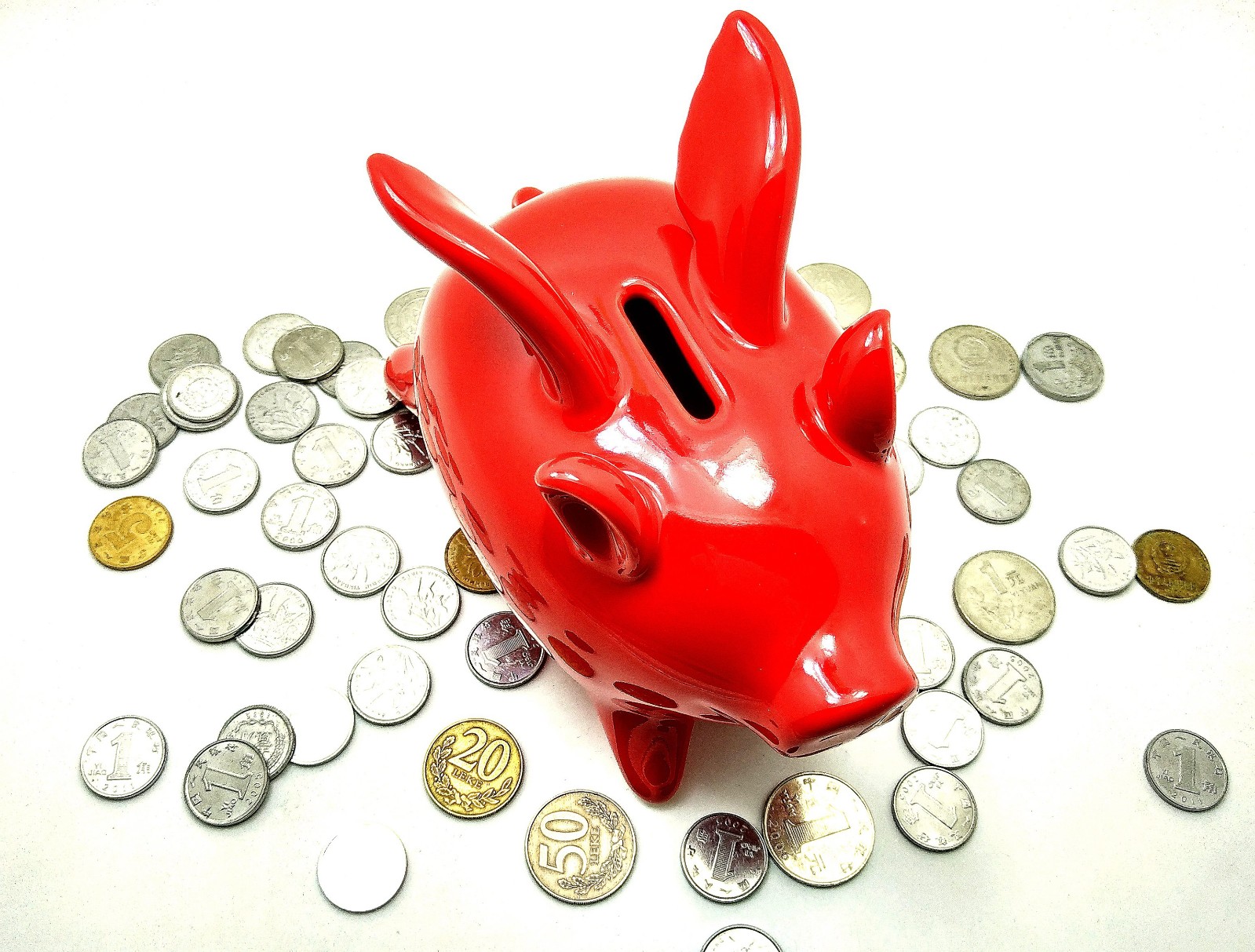 站在风口上猪都能飞电影,站在风口猪也可以飞起来