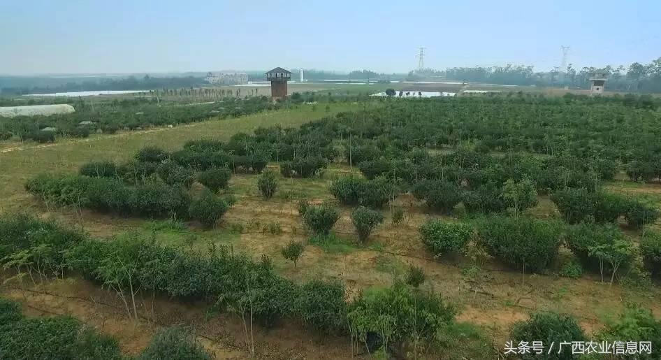 广西苏式园林,合浦周边园林