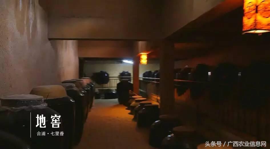 广西苏式园林,合浦周边园林