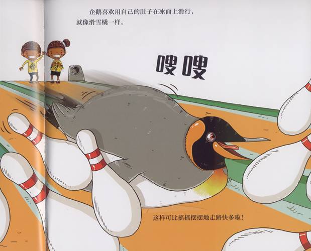 又好玩又有趣的绘本爱不释手,科普绘本推荐7-12岁科普绘本