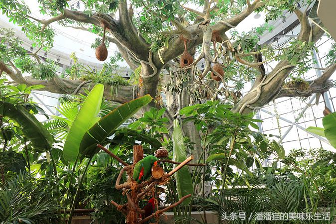 迪拜旅游是落地签吗,迪拜自由行免费签证