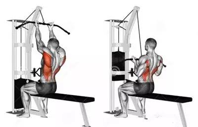 不练背和腿的训练安排,不练背阔肌的动作