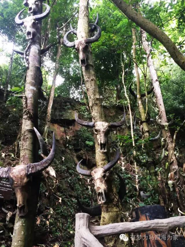 国内居然还有用人头祭祀的神秘部落！淘宝掌柜环游旅行第二十七集