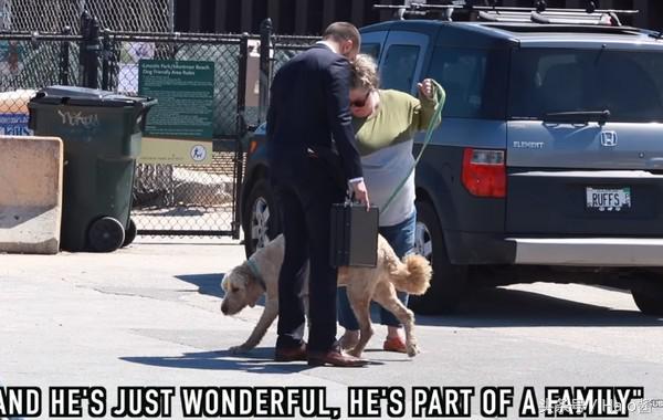 路人测试：10万美金买你的狗！他说“好啊！”你会怎么选择？