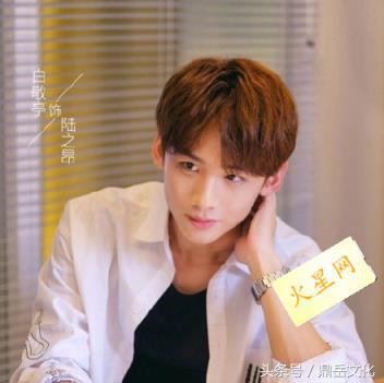 夏至未至颜末陆之昂结婚大结局,夏至未至颜末和陆之昂后续