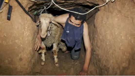 在地球的另一边原声版,在地球另一边