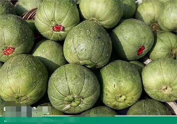 香瓜的功效与作用,香瓜的功效与作用孩子能多吃么