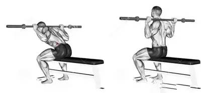 不练背和腿的训练安排,不练背阔肌的动作