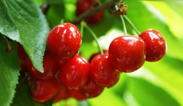 游威海,游威海该这样玩