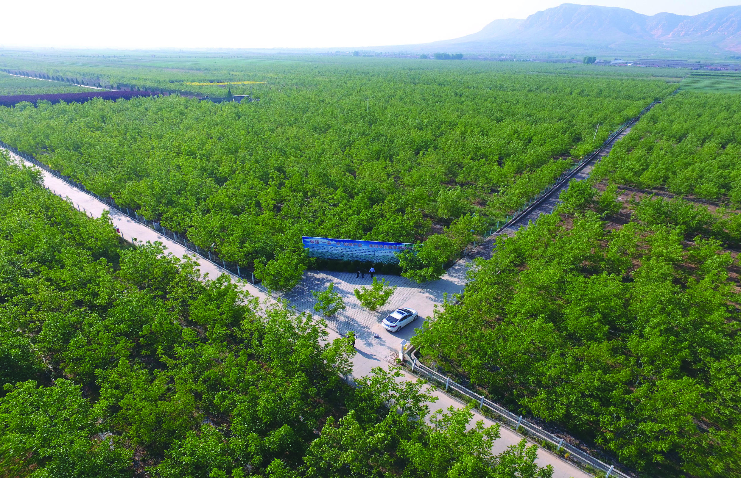 奋力书写新时代奋斗答卷,奋力书写脱贫奔小康的酉阳答卷