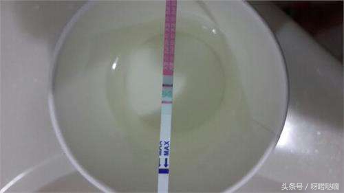 白带变得粘稠是已经排过卵了吗,白带变粘稠是卵泡在长大吗