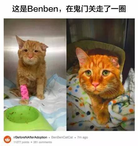 桌边社20170615：这么热的天气出门，撒孜然比喷香水更诱人