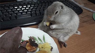 不用节食不用运动就能瘦不反弹,不节食不挨饿就能瘦