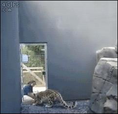 轻松一刻应该怎么做,轻松一刻到底重点在哪里