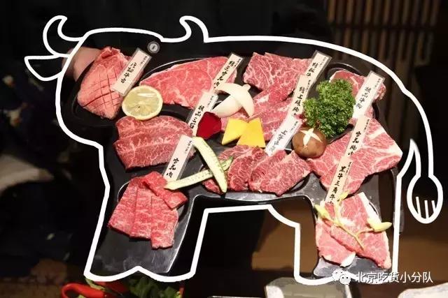 你再横，横得过这些大肉肉？！