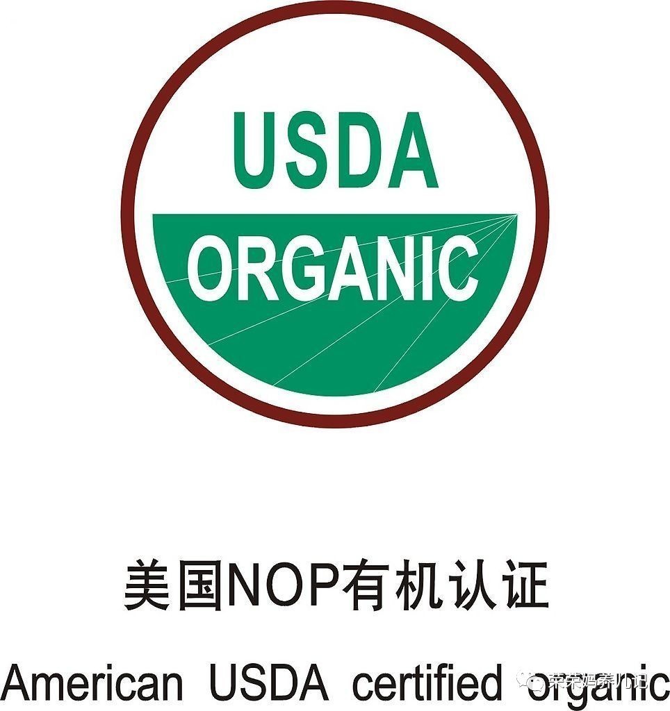 婴幼儿辅食十大排行榜,宝宝辅食水