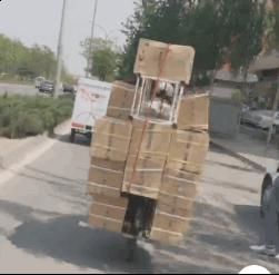 强东代言：文明出行宿迁交通“管斤”了