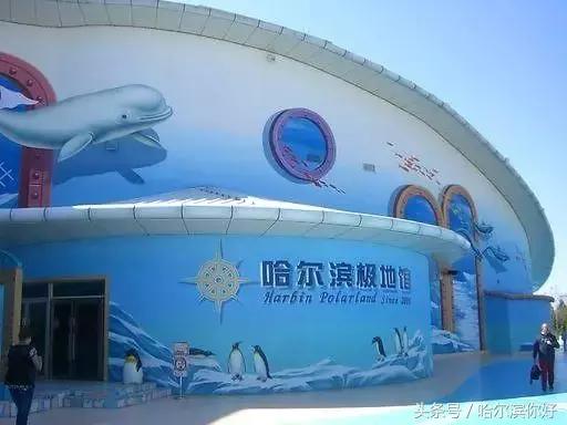 中俄博览会小吃,中俄博览会俄罗斯食品