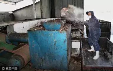 动物疫情补助政策,发生动物重大疫病处置流程