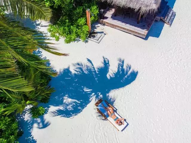 喜大普奔完整版视频,喜大普奔完整视频