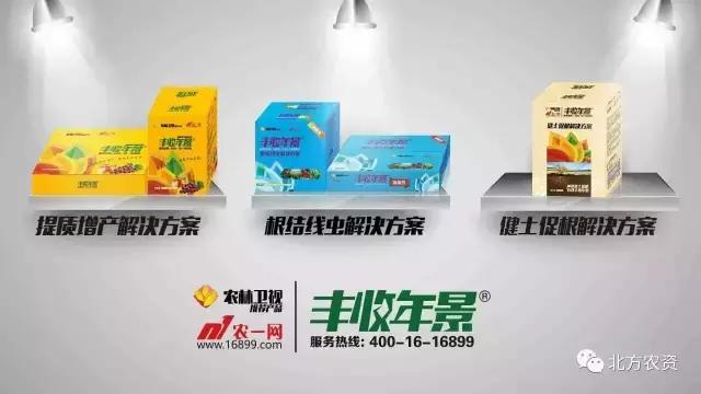 农一网签约农林卫视,农一网杨凌电子商务有限公司