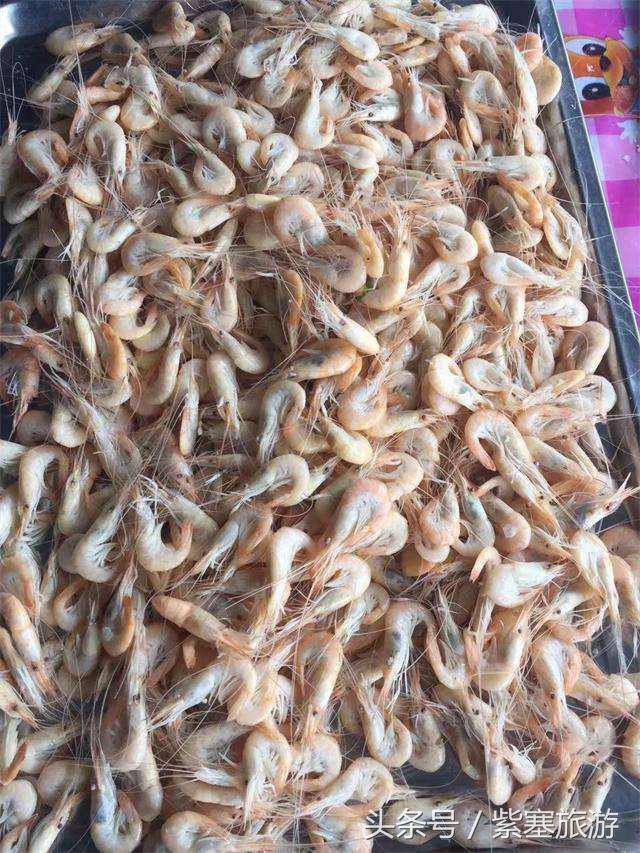 河北田园农家乐攻略,河北海边最有特色的海边农家乐