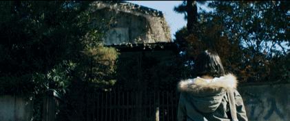 贞子vs伽椰子里的日本大师,贞子vs伽椰子介绍