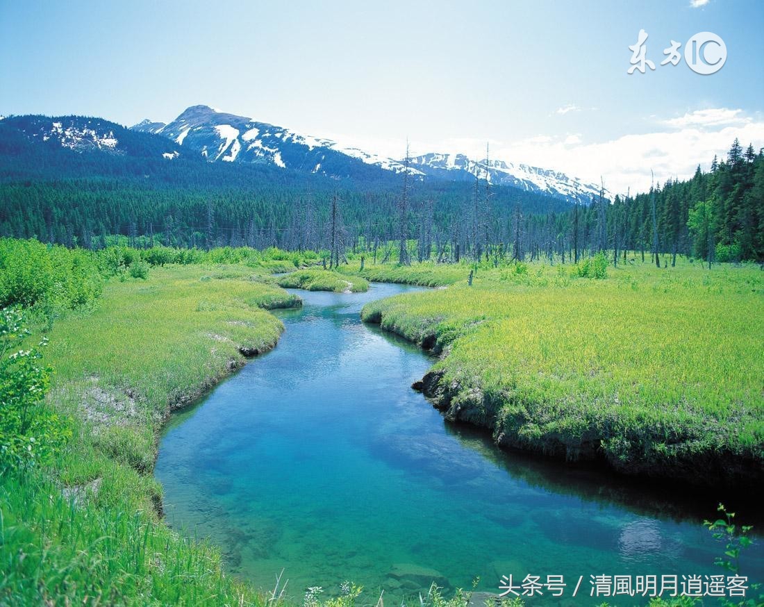 美国黄石国家公园自驾游游记,美国黄石国家公园的火山近况