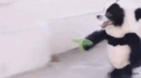 网红口红推荐最近火的是哪款 (网红口红推荐最近火的平价)