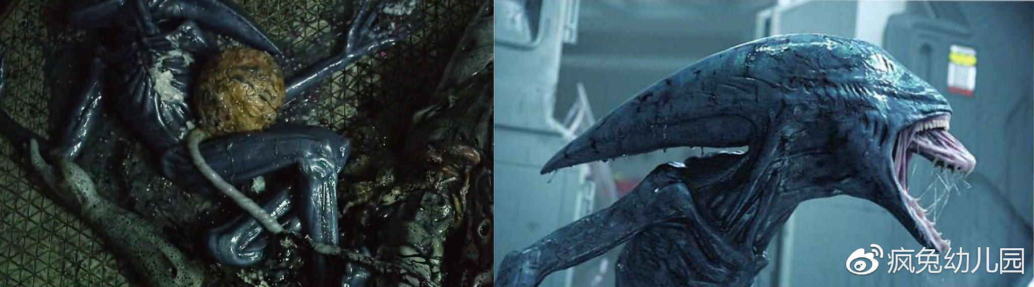 看异形整个系列顺序,想看懂异形先看哪一部