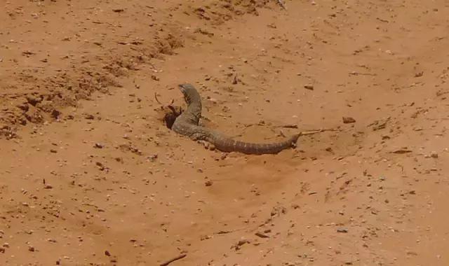 西澳珀斯游记,西澳游记攻略