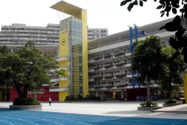 深圳龙岗区私立小学排名一览表,深圳龙岗坂田小学排名一览表